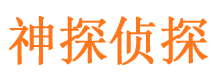 麻章市调查公司